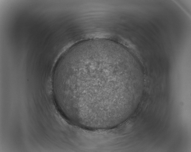 X0000068730012200605011011