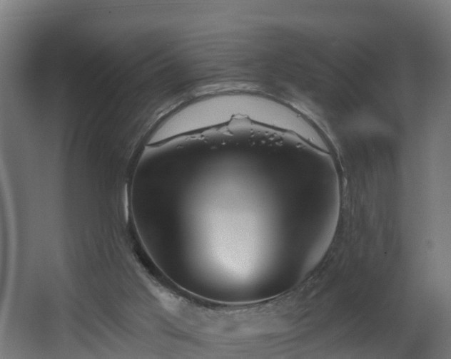 X0000068730013200605011011