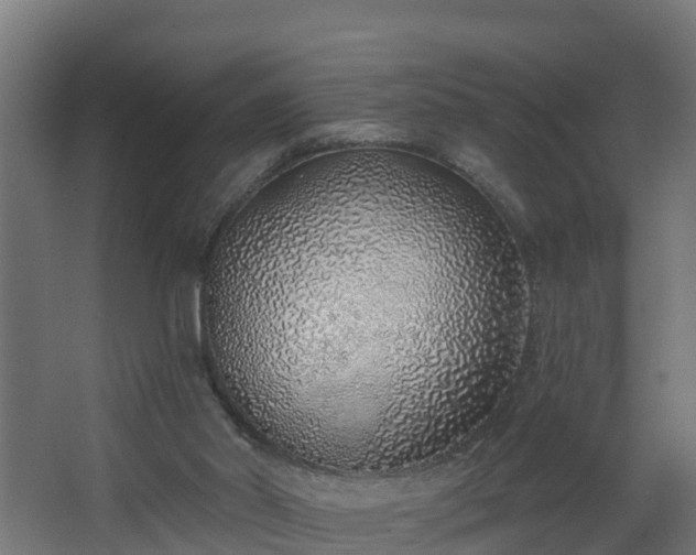 X0000068730014200605011011