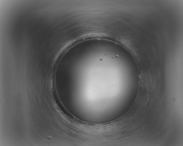 X0000068730015200605011011