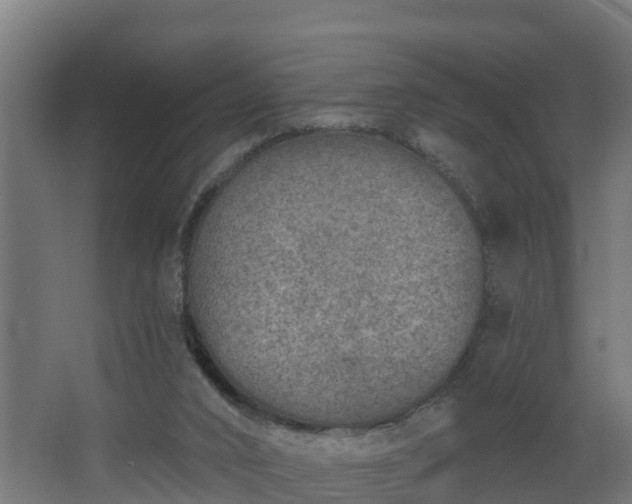 X0000068730016200605011011