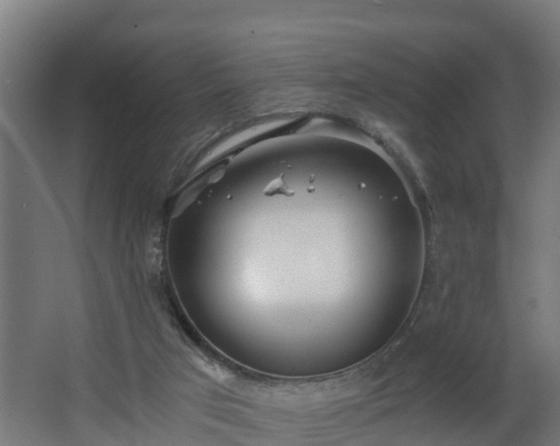 X0000068730017200605011011