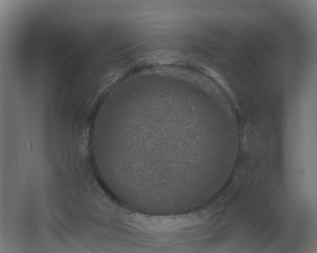 X0000068730018200605011011