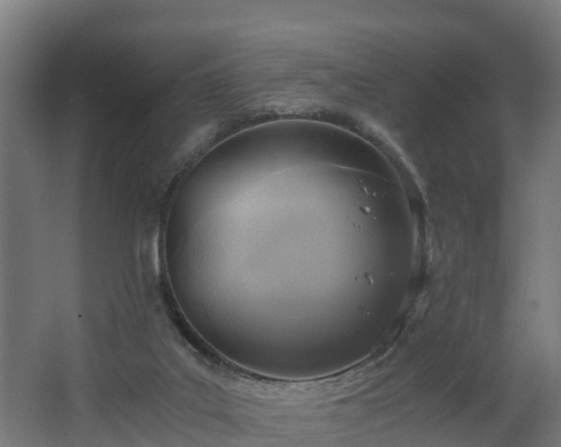 X0000068730019200605011011