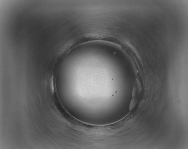 X0000068730020200605011011