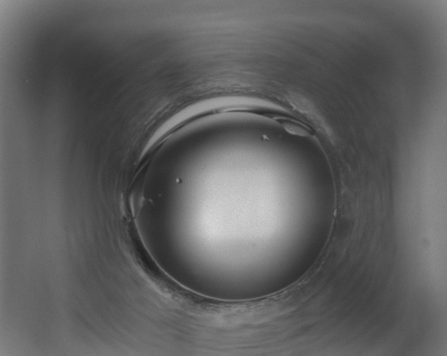 X0000068730021200605011011