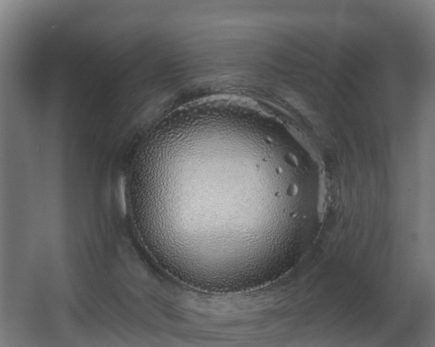 X0000068730022200605011011