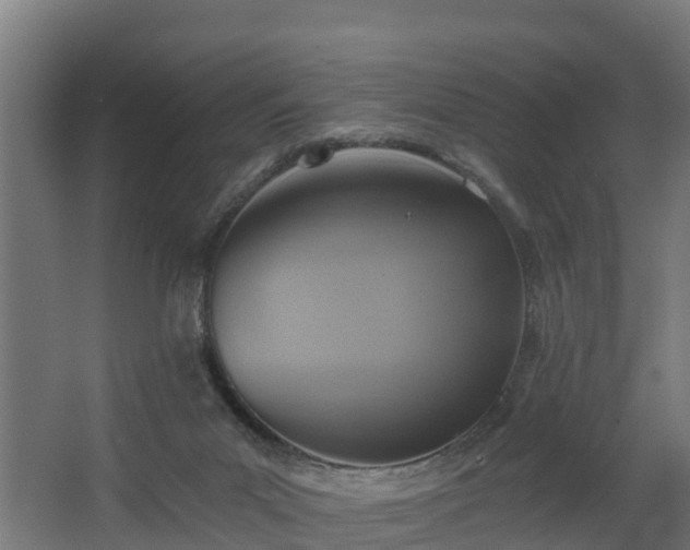 X0000068730023200605011011