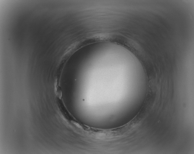 X0000068730024200605011011