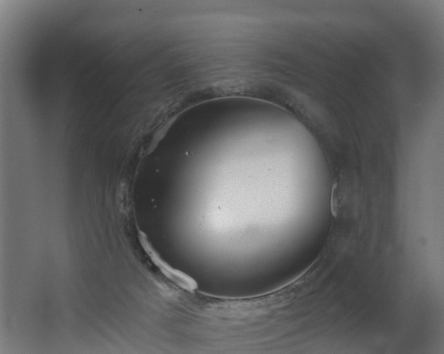 X0000068730025200605011011