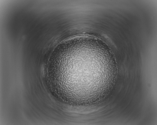 X0000068730026200605011011