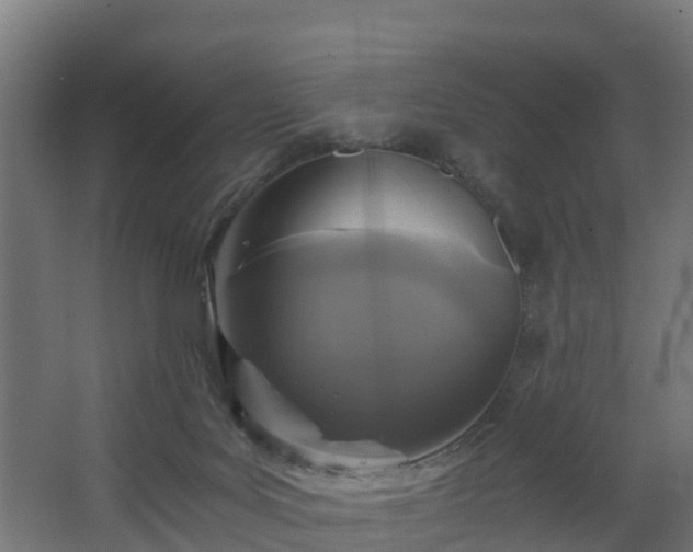 X0000068730027200605011011