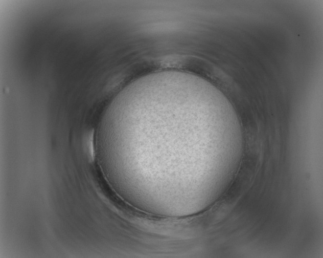 X0000068730028200605011011