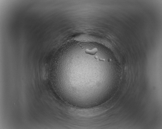 X0000068730030200605011011