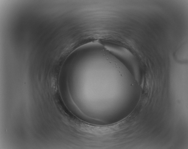 X0000068730031200605011011