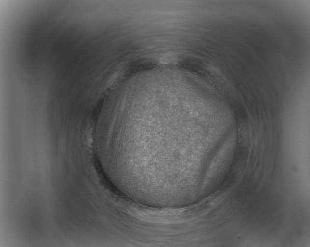 X0000068730032200605011011