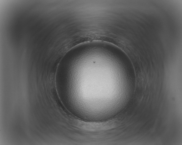 X0000068730034200605011011