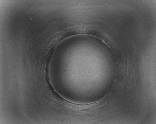 X0000068730035200605011011