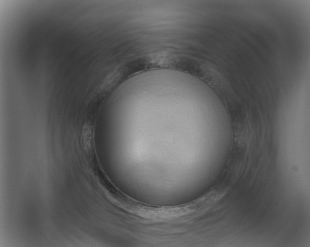 X0000068730036200605011011