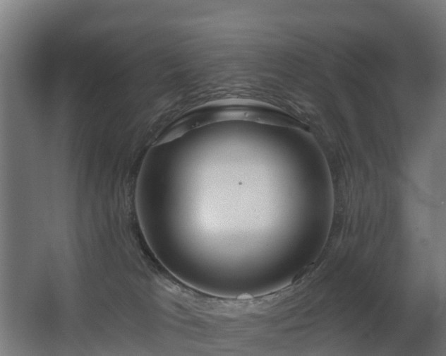 X0000068730037200605011011