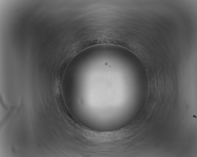 X0000068730038200605011011