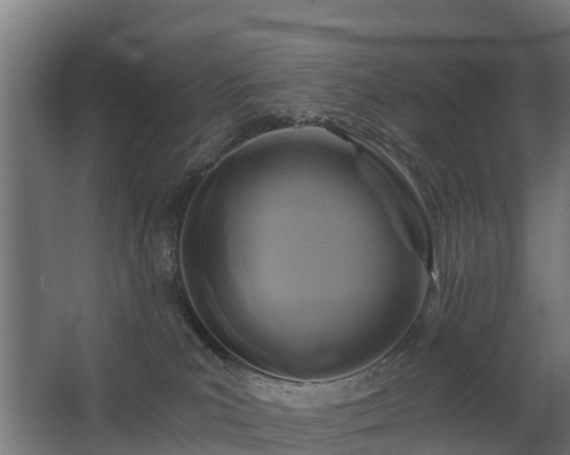 X0000068730039200605011011