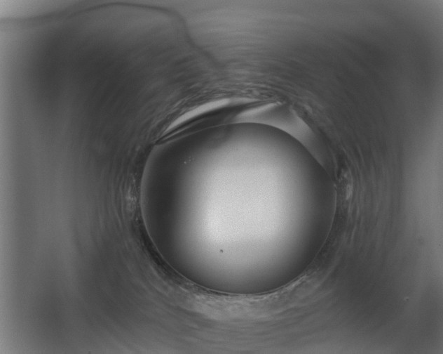 X0000068730040200605011011