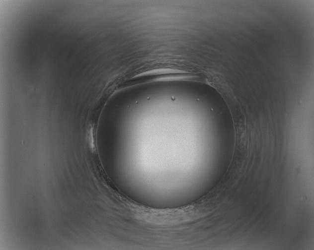 X0000068730042200605011011