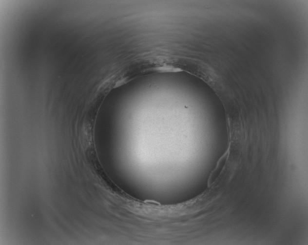 X0000068730043200605011011