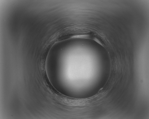 X0000068730044200605011011