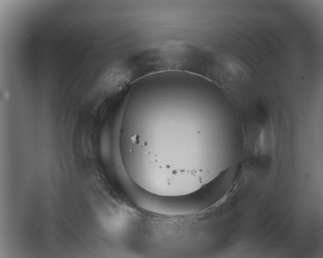 X0000068730045200605011010