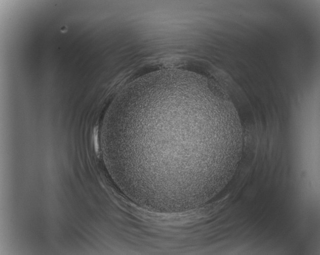 X0000068730046200605011010