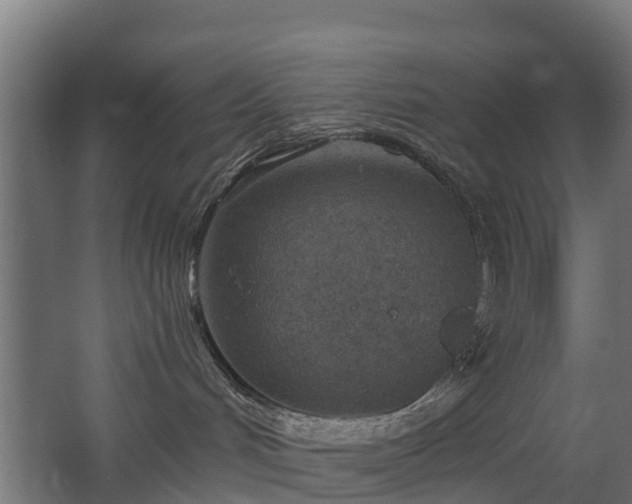 X0000068730048200605011010