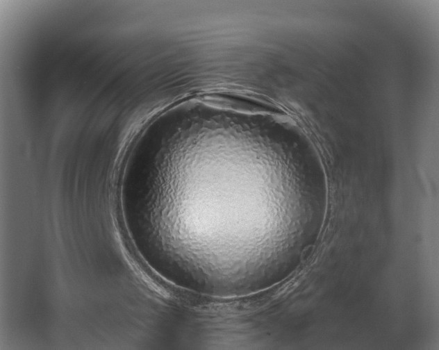 X0000068730049200605011010