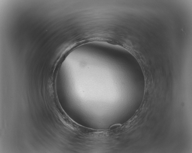 X0000068730050200605011010