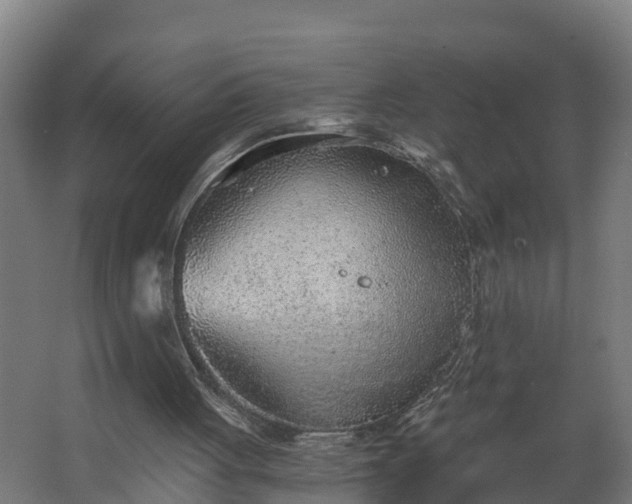 X0000068730051200605011010