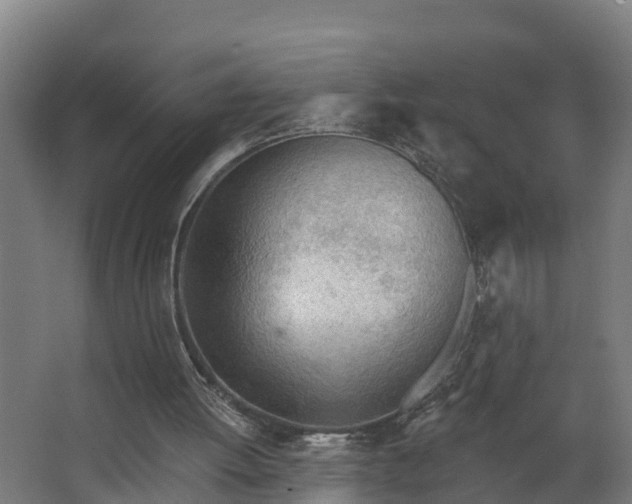 X0000068730052200605011010