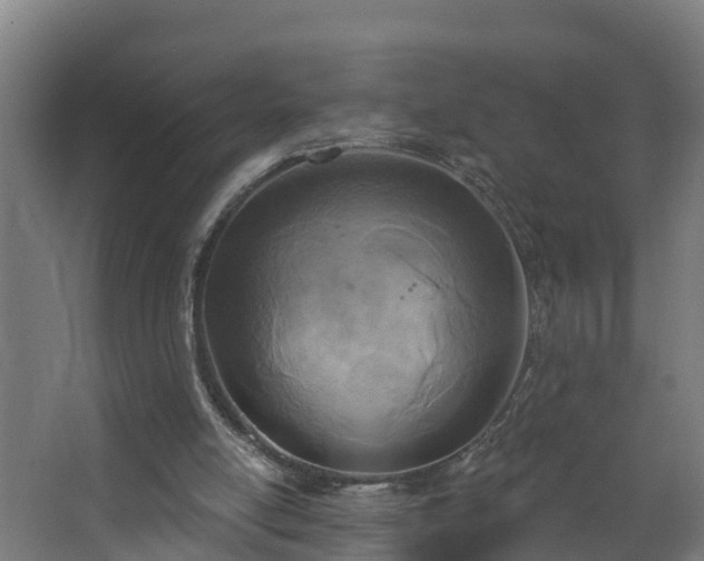 X0000068730054200605011010