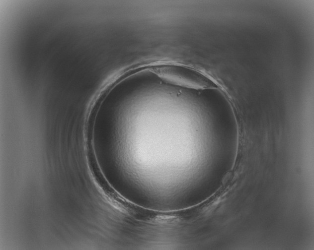 X0000068730055200605011010