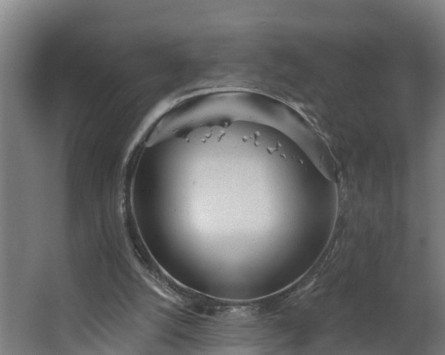 X0000068730056200605011010