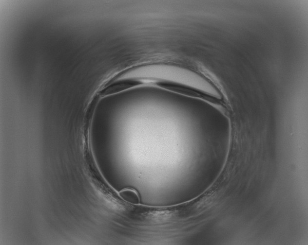 X0000068730059200605011010