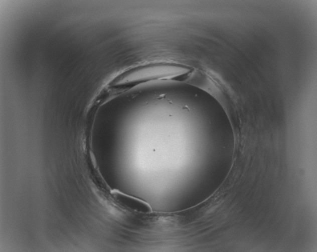 X0000068730060200605011010