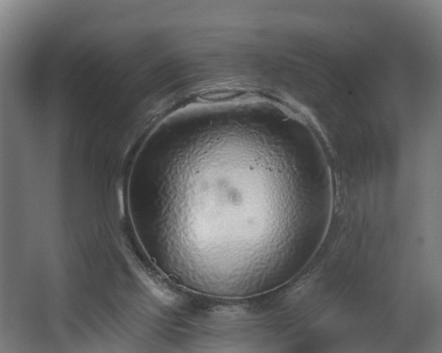 X0000068730061200605011010