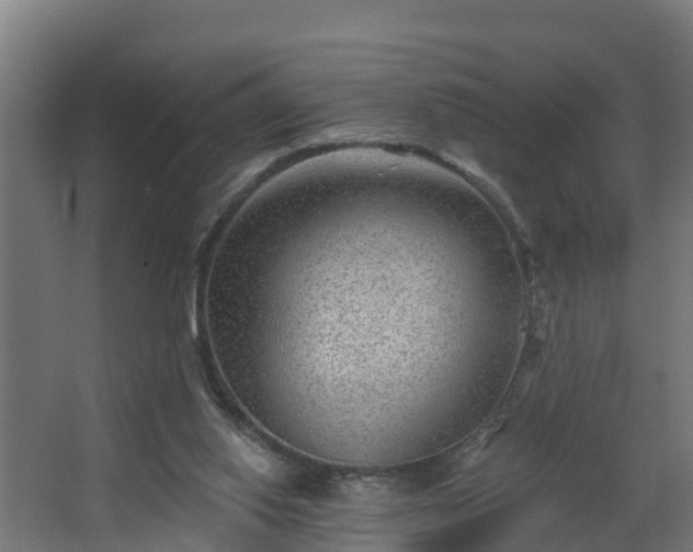 X0000068730062200605011010