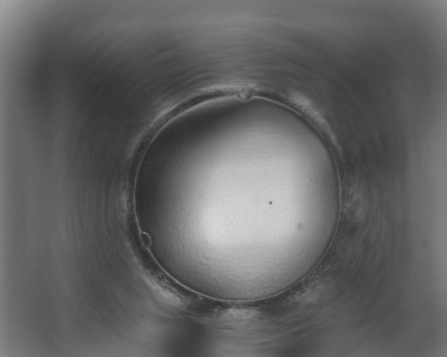 X0000068730063200605011010