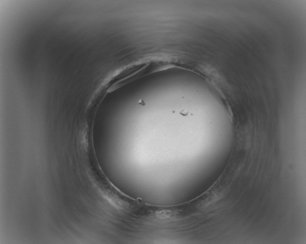 X0000068730064200605011010