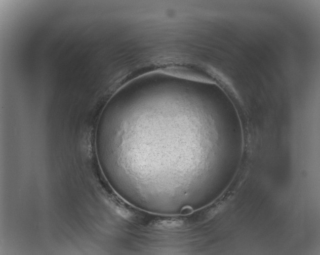 X0000068730065200605011010