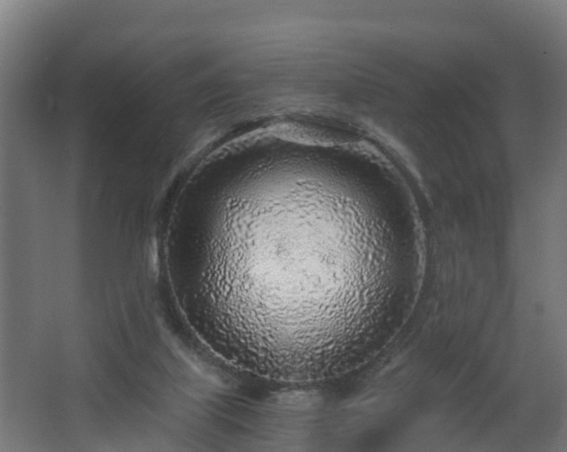 X0000068730067200605011010