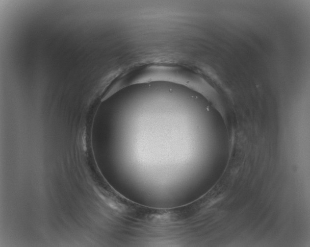 X0000068730068200605011010