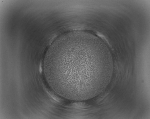 X0000068730069200605011010